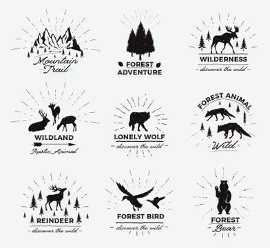Outdoor Vector Emblems. Set of wilderness quotes, and design elements. Deers Illustrazione stock