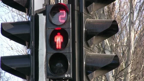 Outdoor vertical traffic light with blue sky and trees around. Traffic contro Stock-Footage 256738475