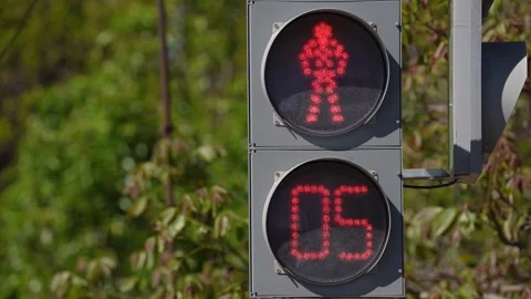 Outdoor vertical traffic light with blue sky and trees around. Traffic control Stock Footage 270721480