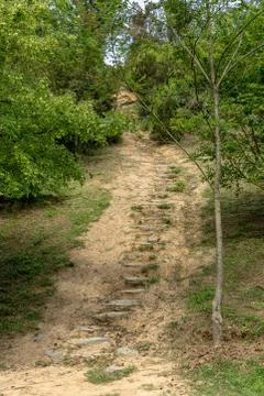 Outdoor view of a small pathway in a forest Stock Photos