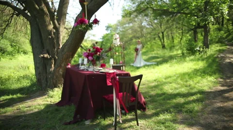 Outdoor Wedding table decorations and young bride in the park Stock Footage 50977249