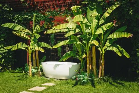 Outdoor white stone empty bath over green tropical nature background. Spa rel Stock Photos
