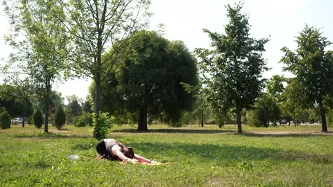 Outdoor yoga classes in the park Stock Footage 274316774