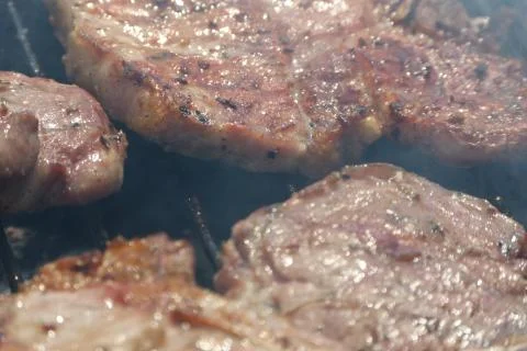 Outdoors barbeque based on roasting meat Stock Photos