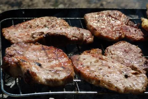 Outdoors barbeque based on roasting meat Stock Photos