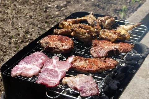Outdoors barbeque based on roasting meat Stock Photos
