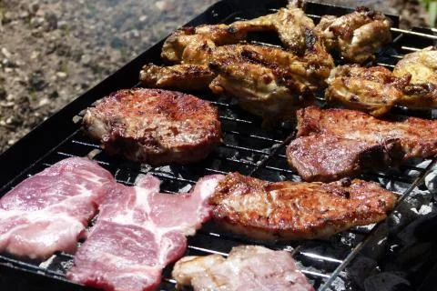 Outdoors barbeque based on roasting meat Stock Photos