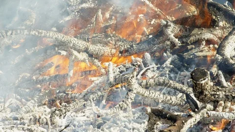 Outdoors, Day, Heat, The End, Lockdown, Close-Up, 20 Seconds Or Greater, Ash, Video stock 94047843
