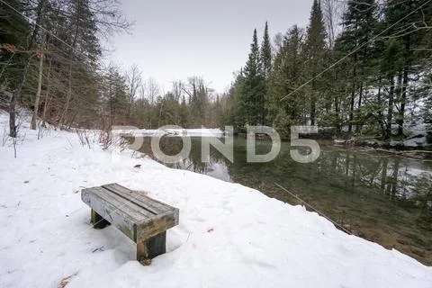 Outdoors, at day with lake in woodland in winter, Ontario, Canada. Stock Photos