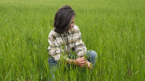 Outdoors, Day, Medium Shot, Lockdown, 20 Seconds Or Greater, Crouching, Stock Footage 94049016