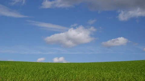 Outdoors, Day, Sky, Cloud, Field, Non Urban Scene, Landscape, Wide Shot, Stock Footage 94012978