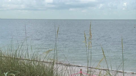 Outdoors-empty beach-ocean-sea oats and sand dune foreground Stock Footage 153050089