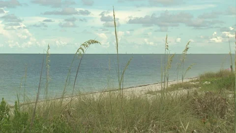 Outdoors-empty beach-sand-dunes-sea oats-sunny day-puffy clouds-gentle ocean Stock Footage 153050501