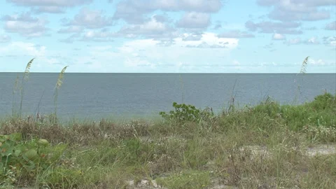Outdoors-ocean-empty beach-sunny day-puffy clouds-foliage in foreground Stock Footage 153052059
