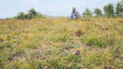 Outdoors prayer Stock Footage 95545840