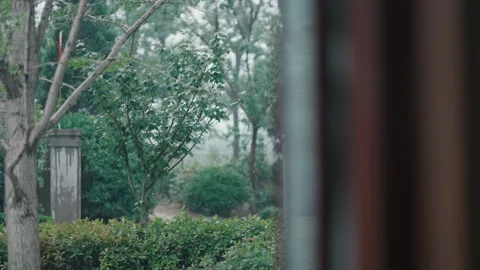 Outdoors on a rainy day Video stock 270505960