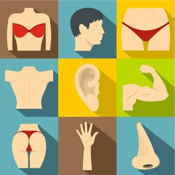 Outer part of body icons set, flat style Stock-Illustration