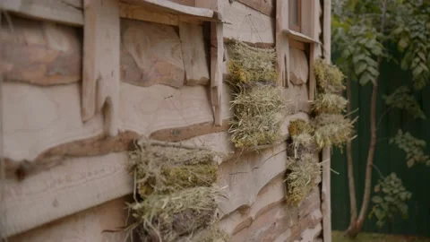 Outer wall of wooden house built according to old technologies. Building is Video stock 221937471