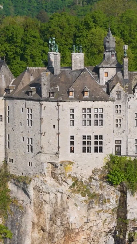 Outer walls main structure walzin castle green covered mountains birds dinant Video stock 321244354