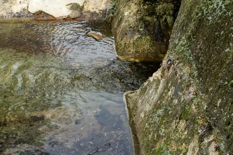 Outflow channels Stock Photos
