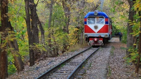 Outgoing train train on beautiful autumn forest Stock Footage 83324642