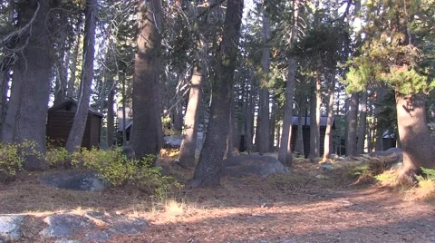 Outhouses in the woods Video stock 42461365
