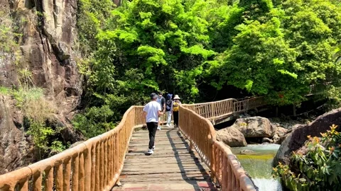 Outing Group Stock Footage 190238396