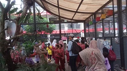 Outing Study ini Suraloka Zoo2 Stock Footage 244571650