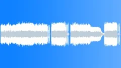 Outlaw Punk (stem - guitars) Stock Music