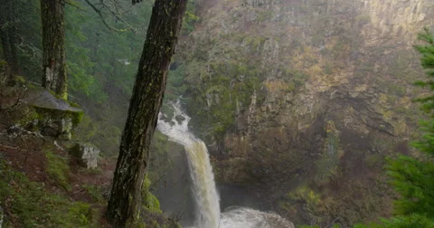 Outlet Falls, Gifford Pinchot National Forest, WA Stock Footage 59299350