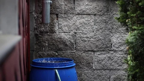 Outlet from the gutter into blue barrel Stock Footage 75345431