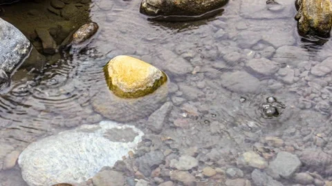 The outlet of spring water underground in the stream. Stock Footage 307180660