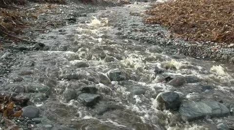 Outlet of a stream flowing on a beach. Stock-Footage 12337432
