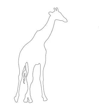 Outline of an african Giraffe Illustrazione stock
