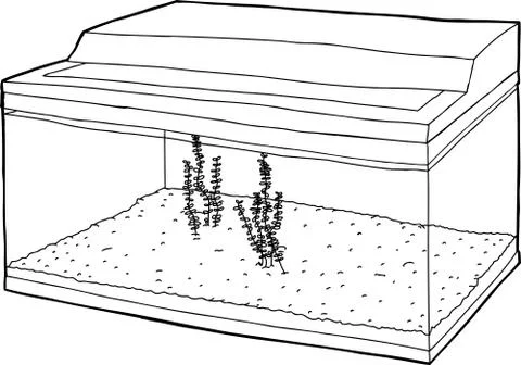 Outline of Aquatic Plants Stock Illustration