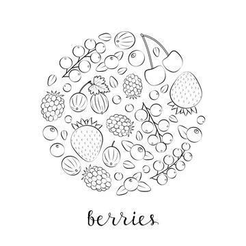 Outline berries in circle shape. Stock Illustration