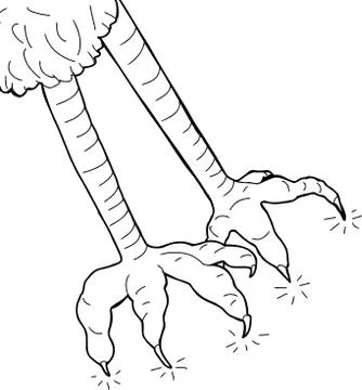 Outline of bird claws Stock Illustration