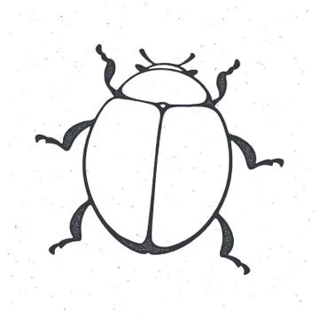 Outline of bug top view. Insect in nature. Vector illustration. Stock Illustration