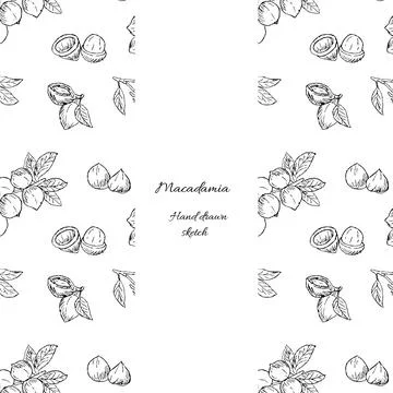 Outline cover wrapping template of Macadamia nuts product Stock Illustration