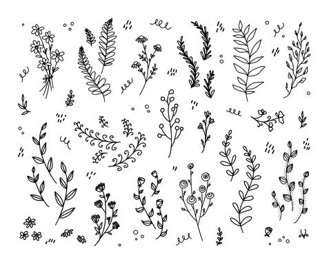 Outline decorative floral elements. Isolated plant stems Stock Illustration