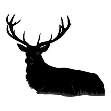 Outline of a deer on a white background. deer lies Stock Illustration