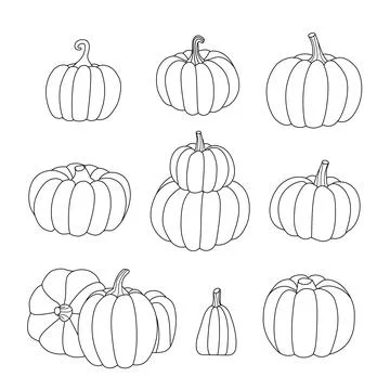 The outline of different pumpkins. Black and white vector illustration with Stock Illustration