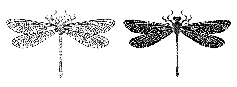Outline dragonfly Stock Illustration