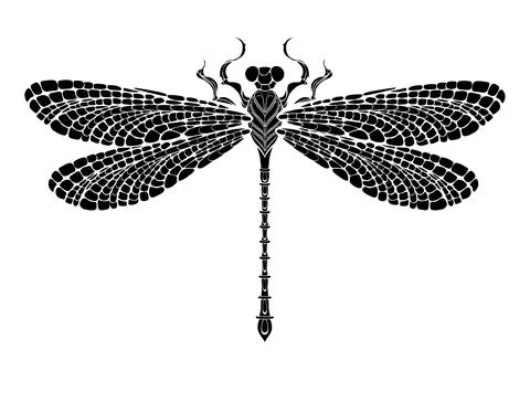 Outline dragonfly Stock Illustration