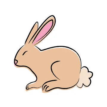 Outline draw rabbit Stock Illustration