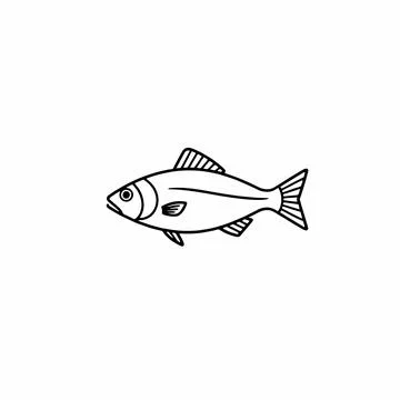 Outline Drawing Of A Fish Isolated On White Background Stock-Illustration