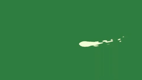 Outline Dynamic Isolated Green Screen Stock Video Stock Footage 338017565