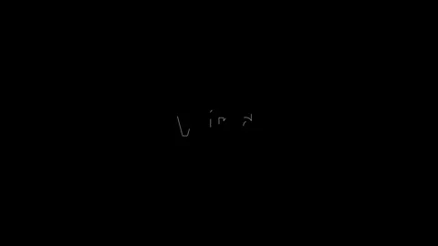 Outline Effect over a white Wind word, fills with white animated. Stock Footage 128658535
