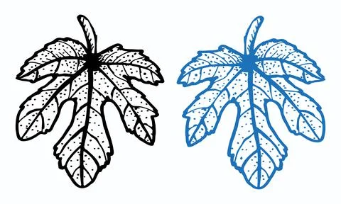 Outline of a fig leaf with dots in black and blue Stock Illustration