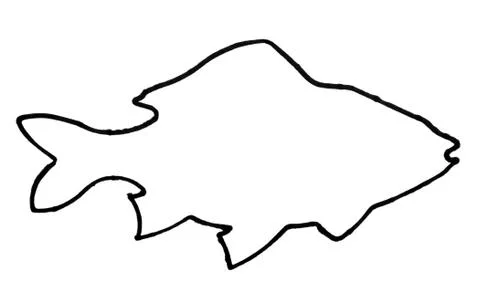 Outline of a fish Ilustração Stock
